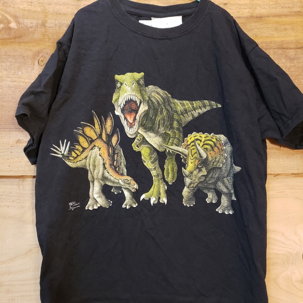 Boys L Dinosaur shirt